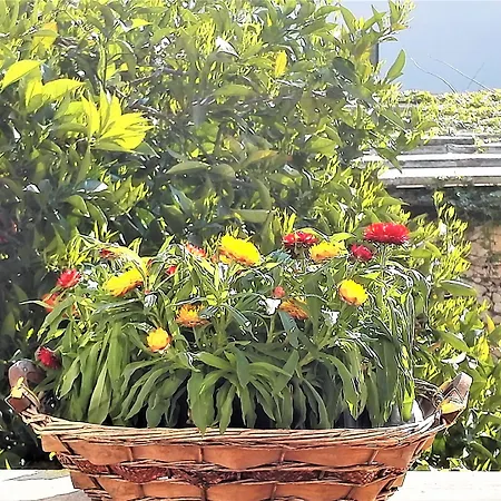 Antico Camino Bed & Breakfast 3*