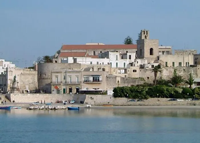 Antico Camino 3*